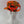 Auspice Maria Catholic Marian Devotion Adjustable Camouflage Hat