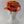 Auspice Maria Catholic Marian Devotion Adjustable Camouflage Hat
